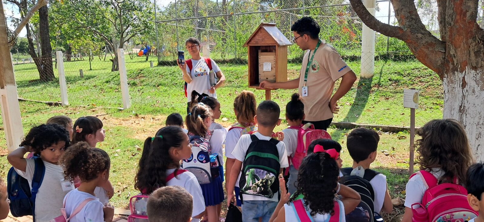 Meliponário de Abelha-Jataí